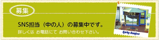 スタッフ募集